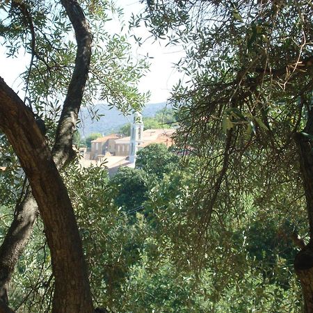 Costa Di Sognu Villa Luaran gambar