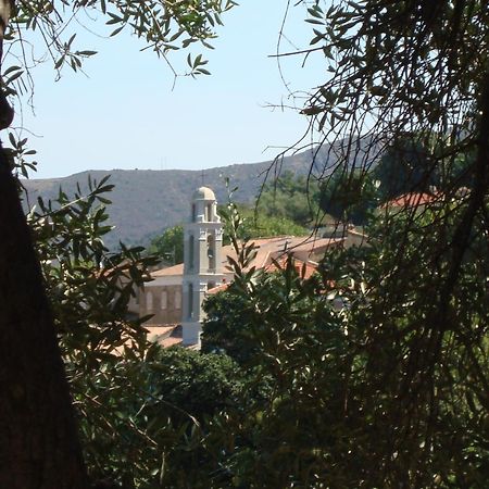 Costa Di Sognu Villa Luaran gambar