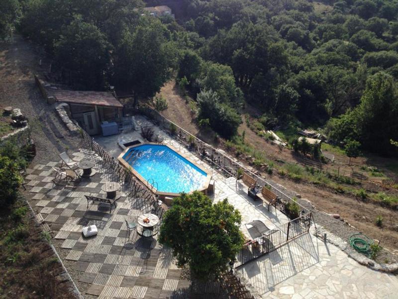 Costa Di Sognu Villa Luaran gambar