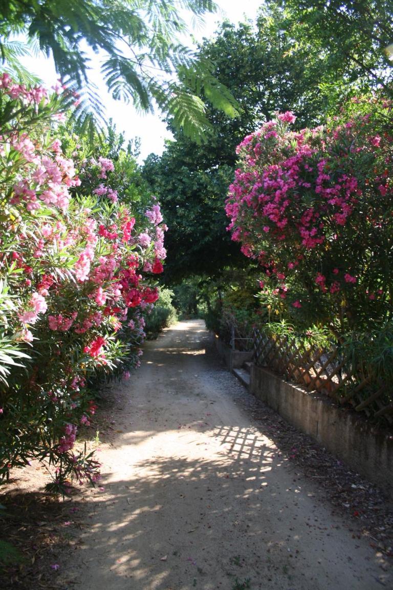 Costa Di Sognu Villa Luaran gambar