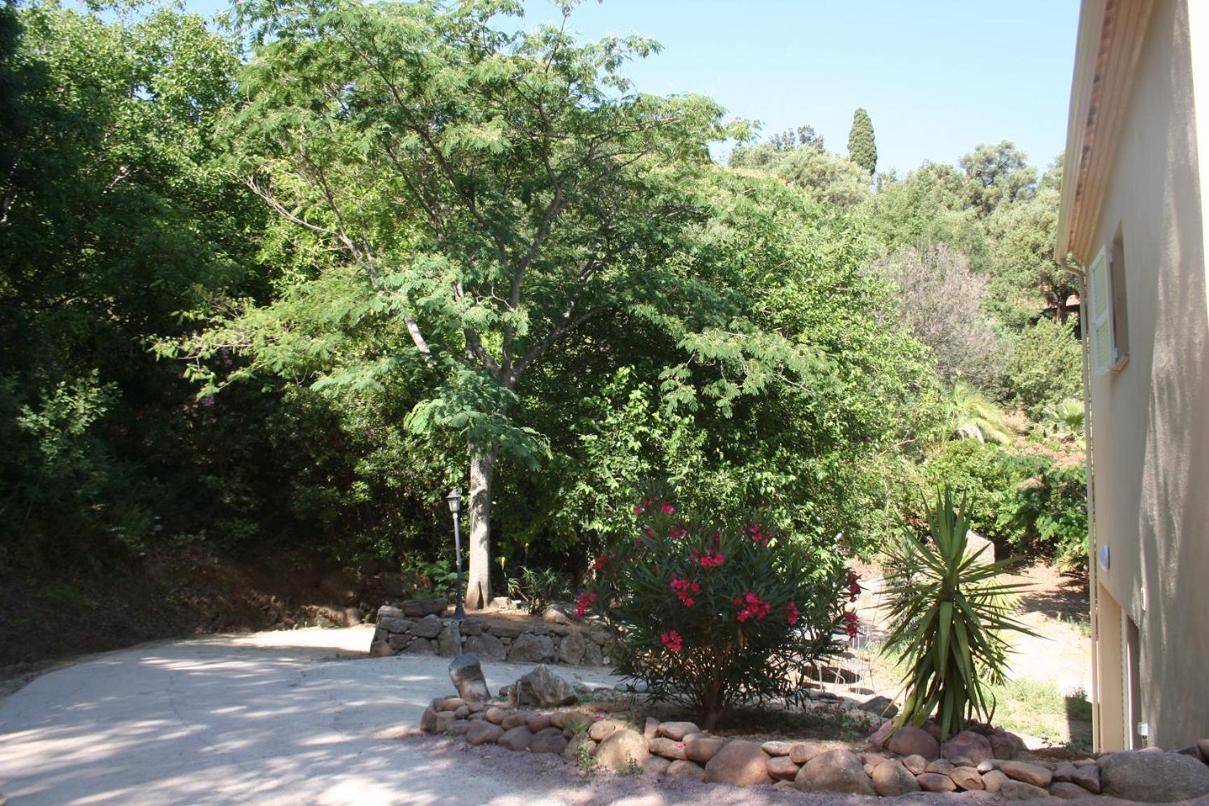Costa Di Sognu Villa Luaran gambar