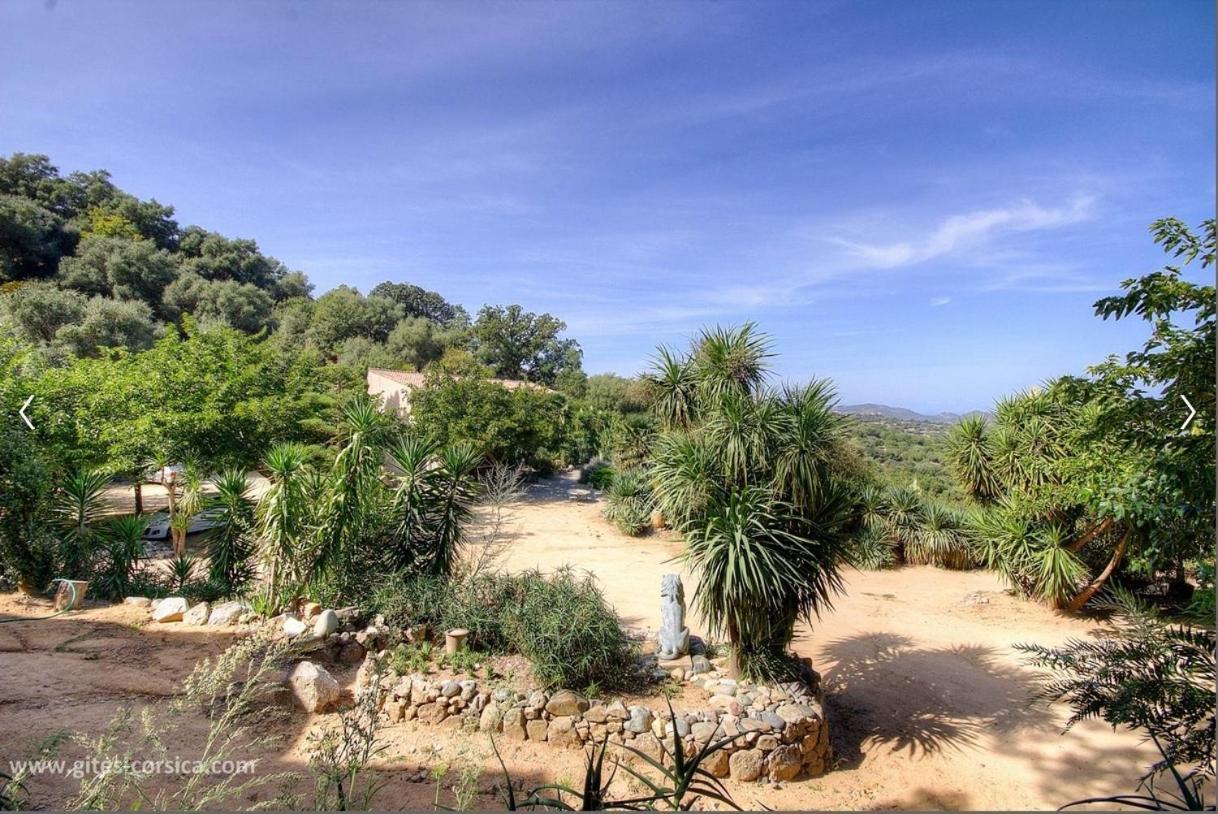 Costa Di Sognu Villa Luaran gambar