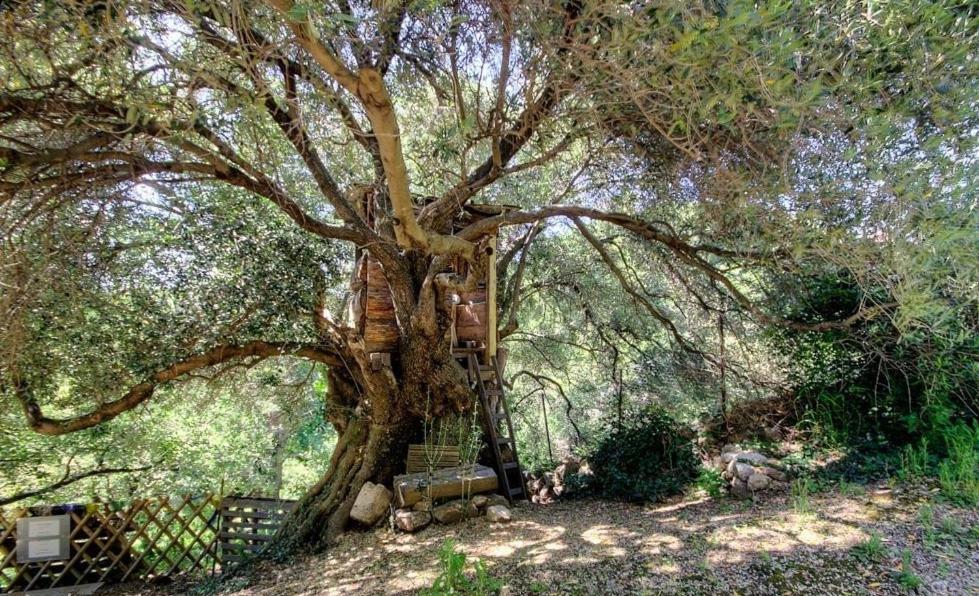 Costa Di Sognu Villa Luaran gambar