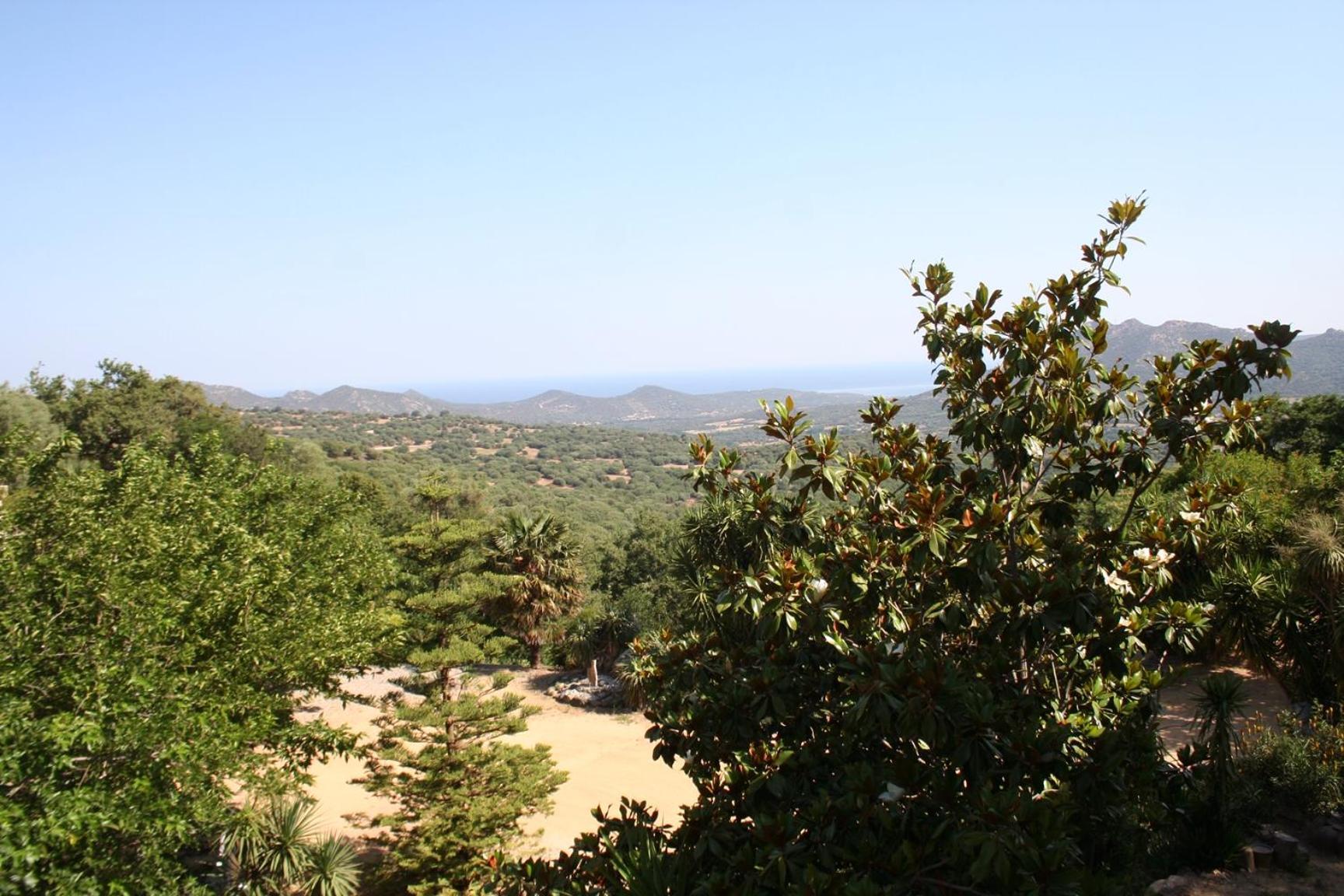 Costa Di Sognu Villa Luaran gambar