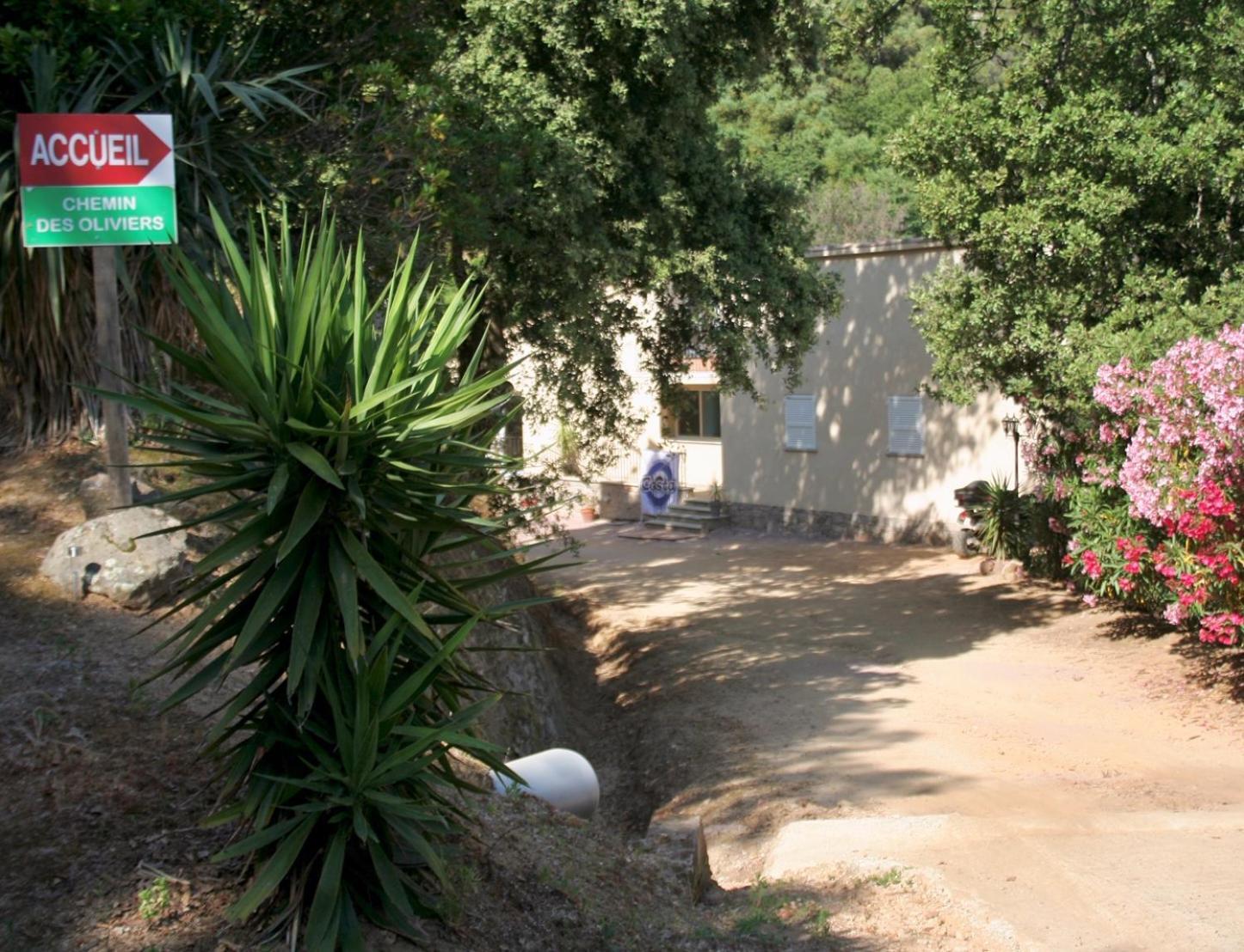 Costa Di Sognu Villa Luaran gambar