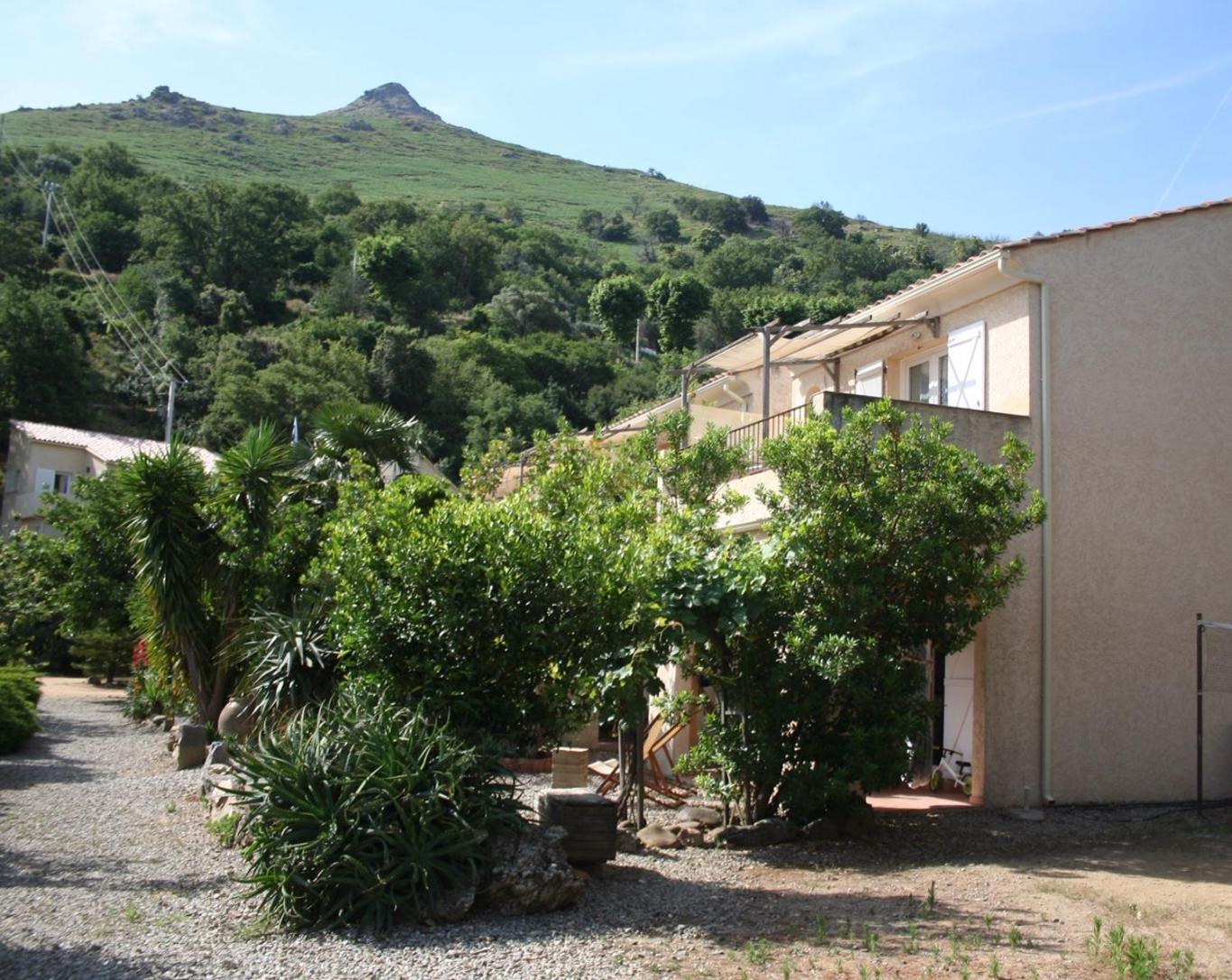 Costa Di Sognu Villa Luaran gambar